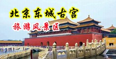 风骚少妇偷人一级毛片视频中国北京-东城古宫旅游风景区
